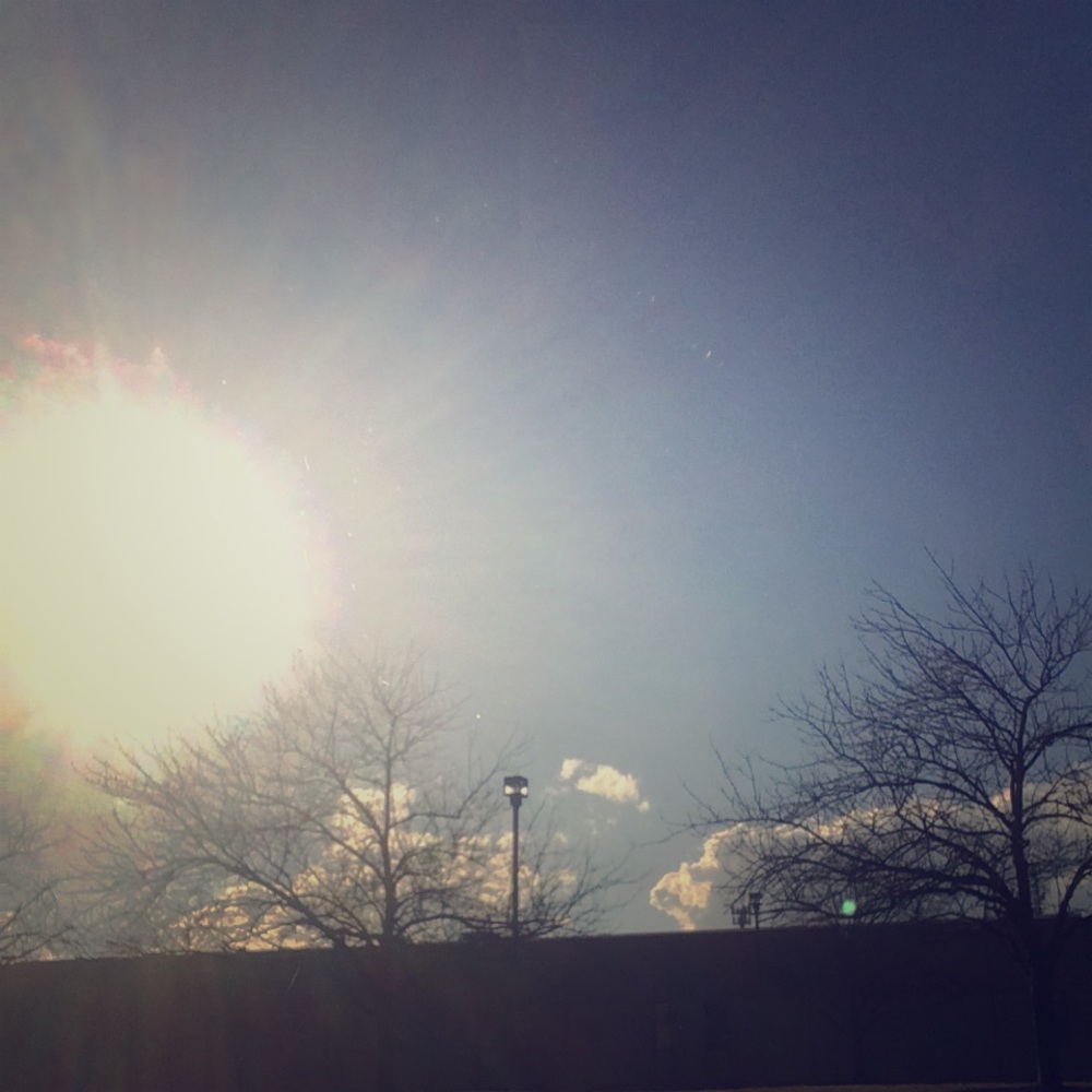 Meet your Posher, Lily